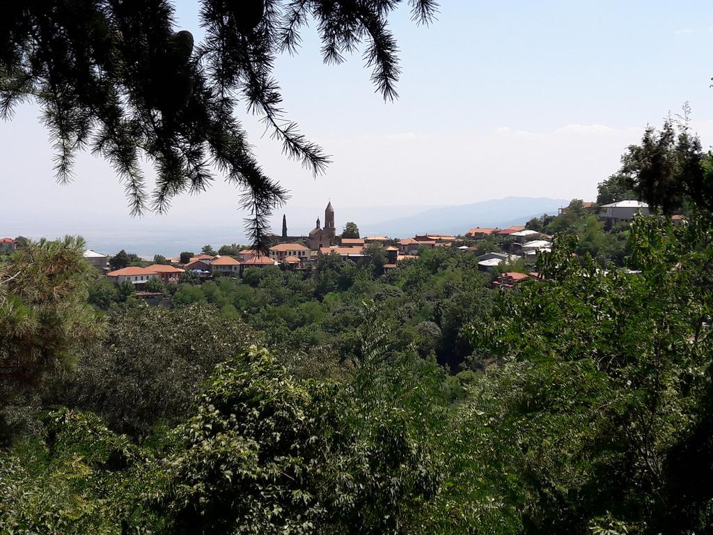 Goga Guesthouse Sighnaghi Bagian luar foto