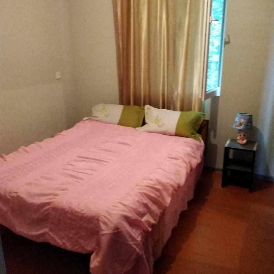 Goga Guesthouse Sighnaghi Bagian luar foto